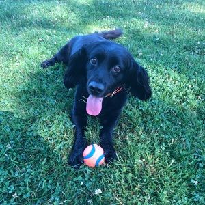 Meet your Posher, Chris